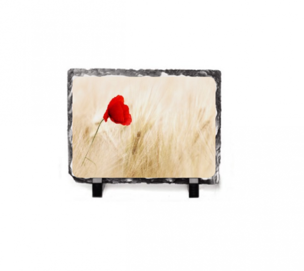 Rock-Photo-Frame-022