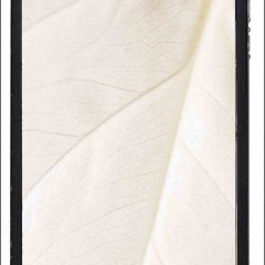 Mobile cover 0022