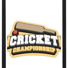 Mobile cover 0317