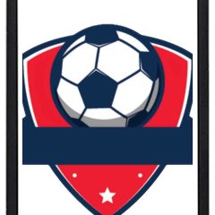 Mobile cover 0326