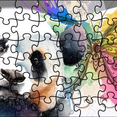 Puzzle – 0011