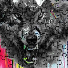 Puzzle -W- 0017