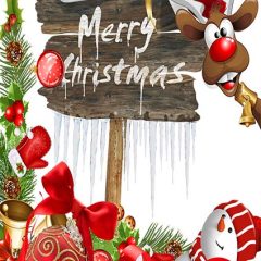 DD-Xmas-09991