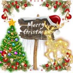 DD-Xmas-09983