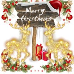 DD-Xmas-09984