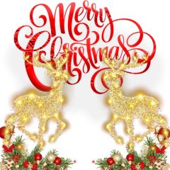 DD-Xmas-09985
