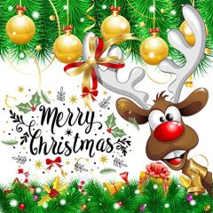 DD-Xmas-09987