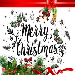 DD-Xmas-09994
