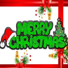 DD-Xmas-09995
